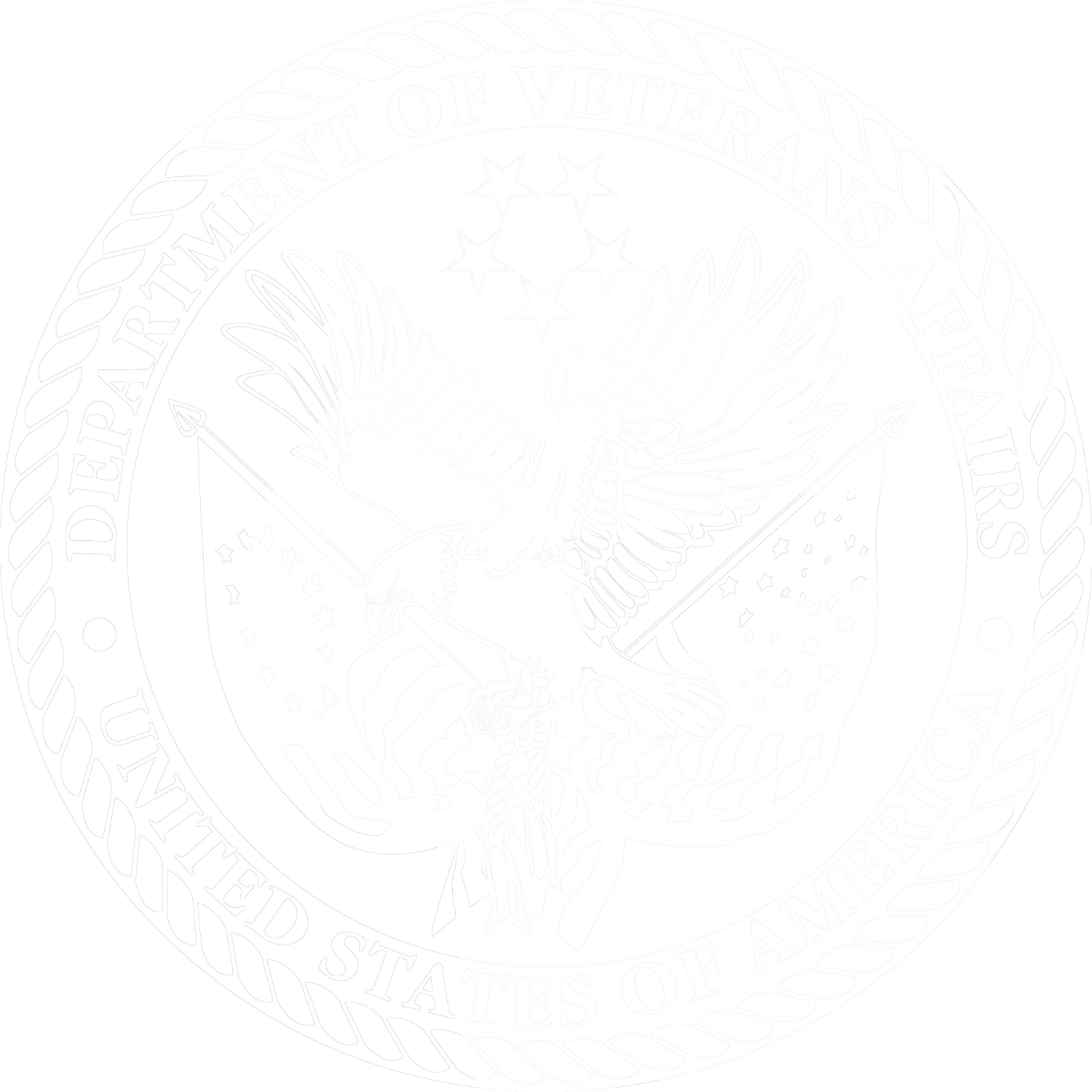 A faint outline of an emblem or seal, possibly related to the United States government or military, displayed with low contrast and a faded appearance